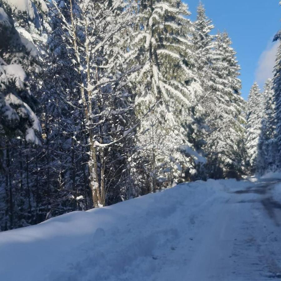 Tisina Tare Villa Bajina Basta Dış mekan fotoğraf