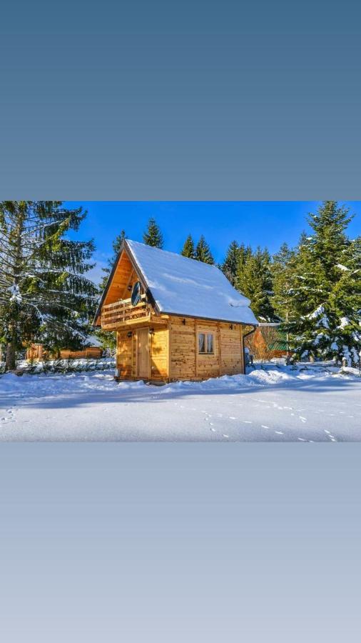 Tisina Tare Villa Bajina Basta Dış mekan fotoğraf
