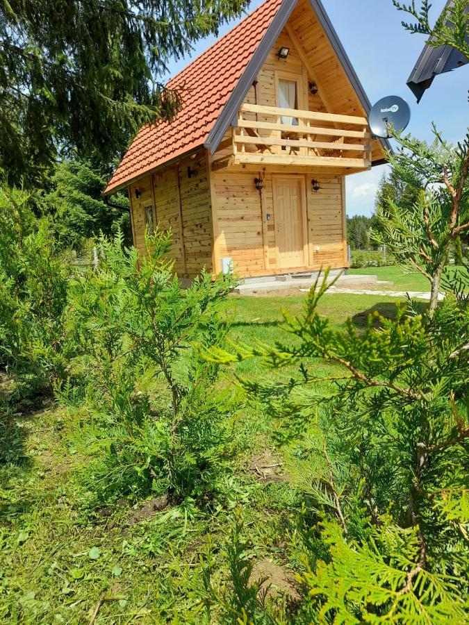 Tisina Tare Villa Bajina Basta Dış mekan fotoğraf